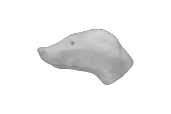 Junge Dachs  6-11-28-54-52